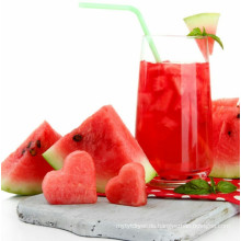 Verarbeitungsmaschine für Wassermelonenmelonensaft